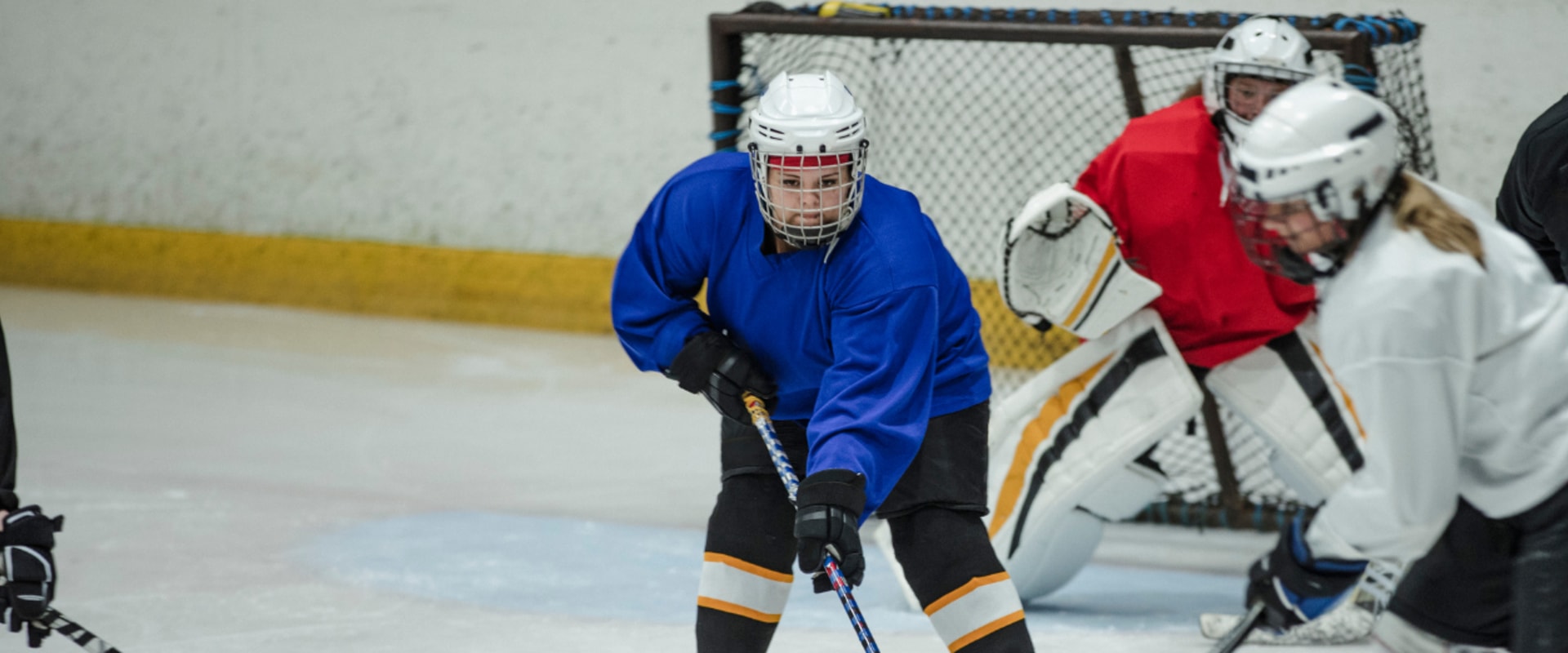 Canadian Sledge Hockey Blog Toronto